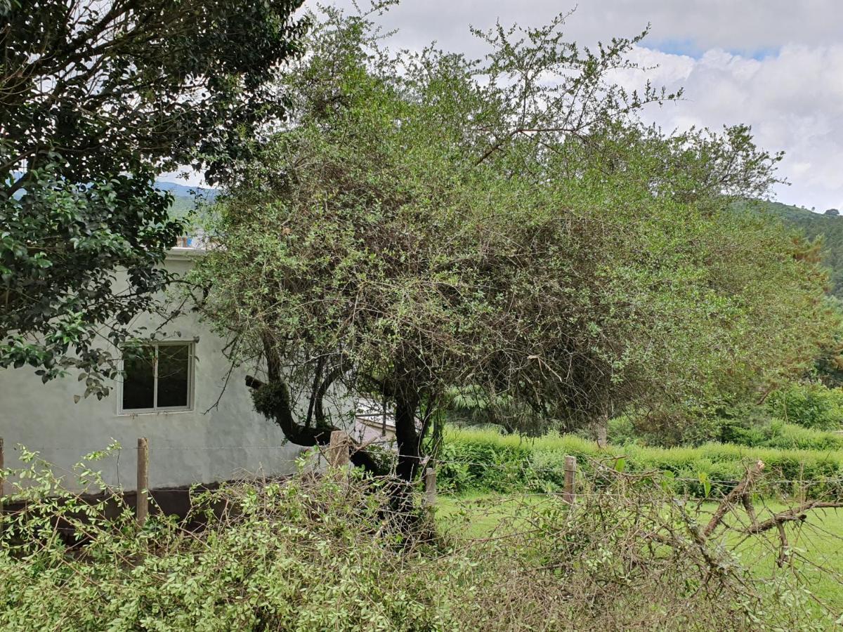הוילה Casas De Raco מראה חיצוני תמונה